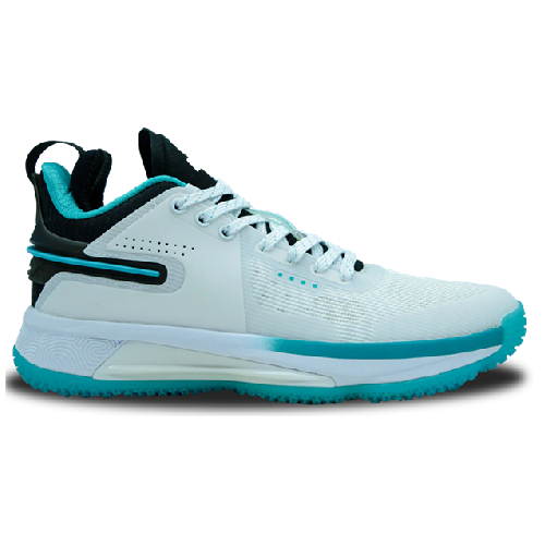 PEAK ZAPATILLAS DE BASKQUET TAICHI FLASH LOW WILLIAMS