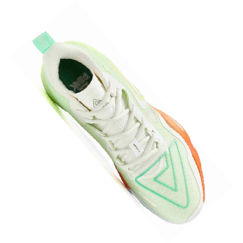 PEAK ZAPATILLA DE BASQUET TAICHI LT  WHITE GREEN