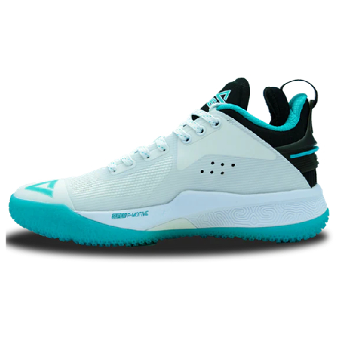 PEAK ZAPATILLAS DE BASKQUET TAICHI FLASH LOW WILLIAMS